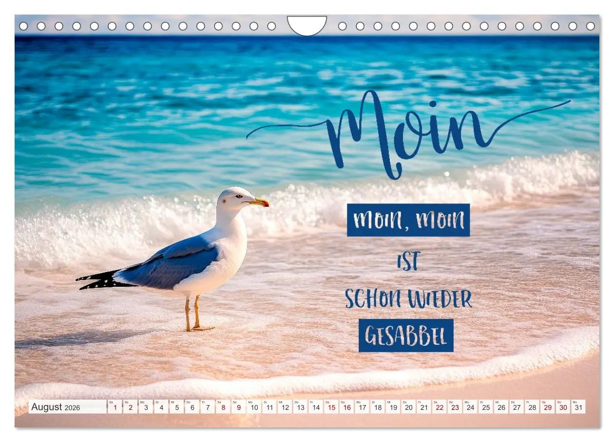 Bild: 9783516594492 | Meerblick und Plattschnack (Wandkalender 2026 DIN A4 quer),...