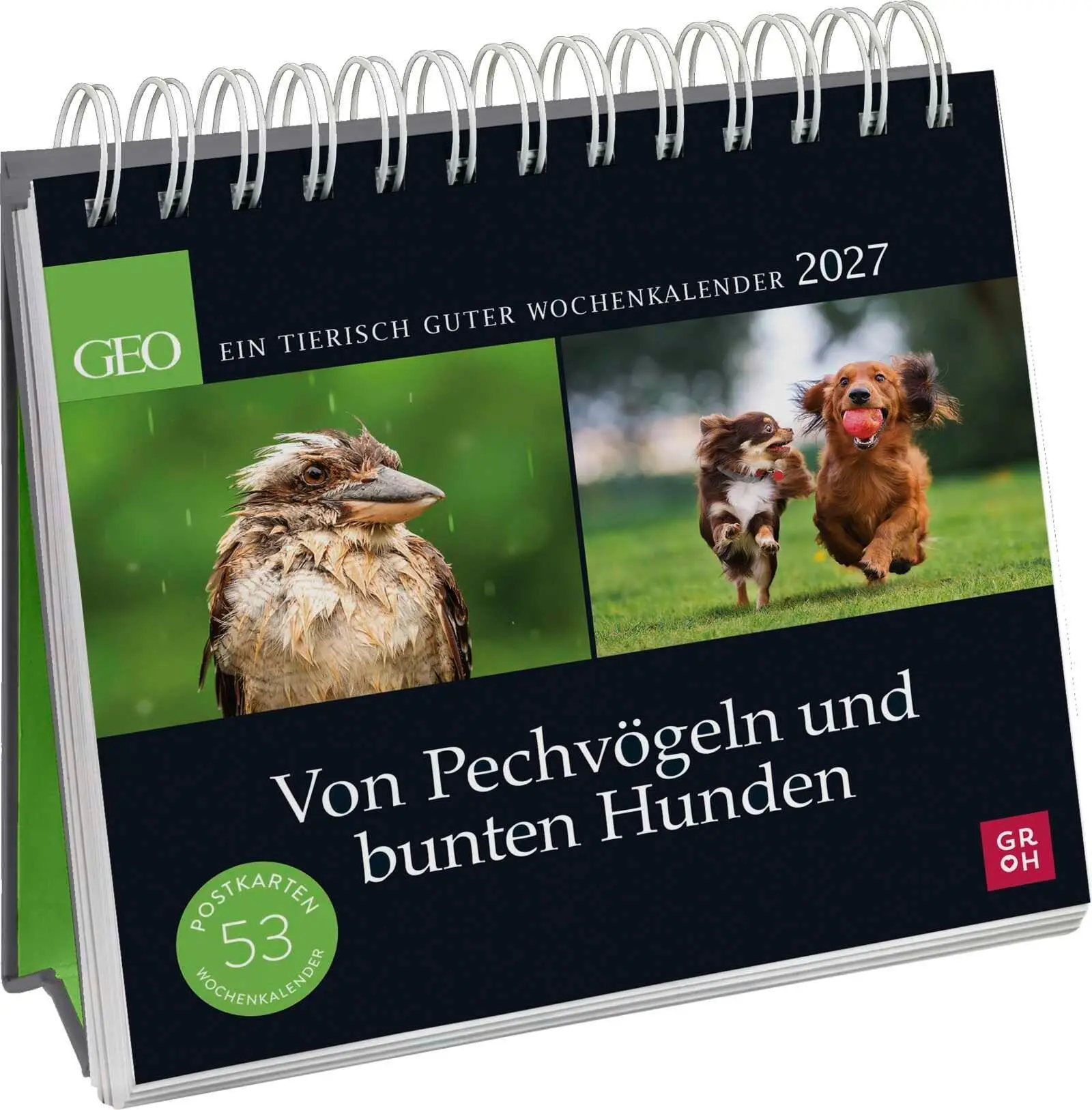Cover: 4036442014592 | Postkartenkalender 2027: Von Pechvögeln und bunten Hunden | Verlag
