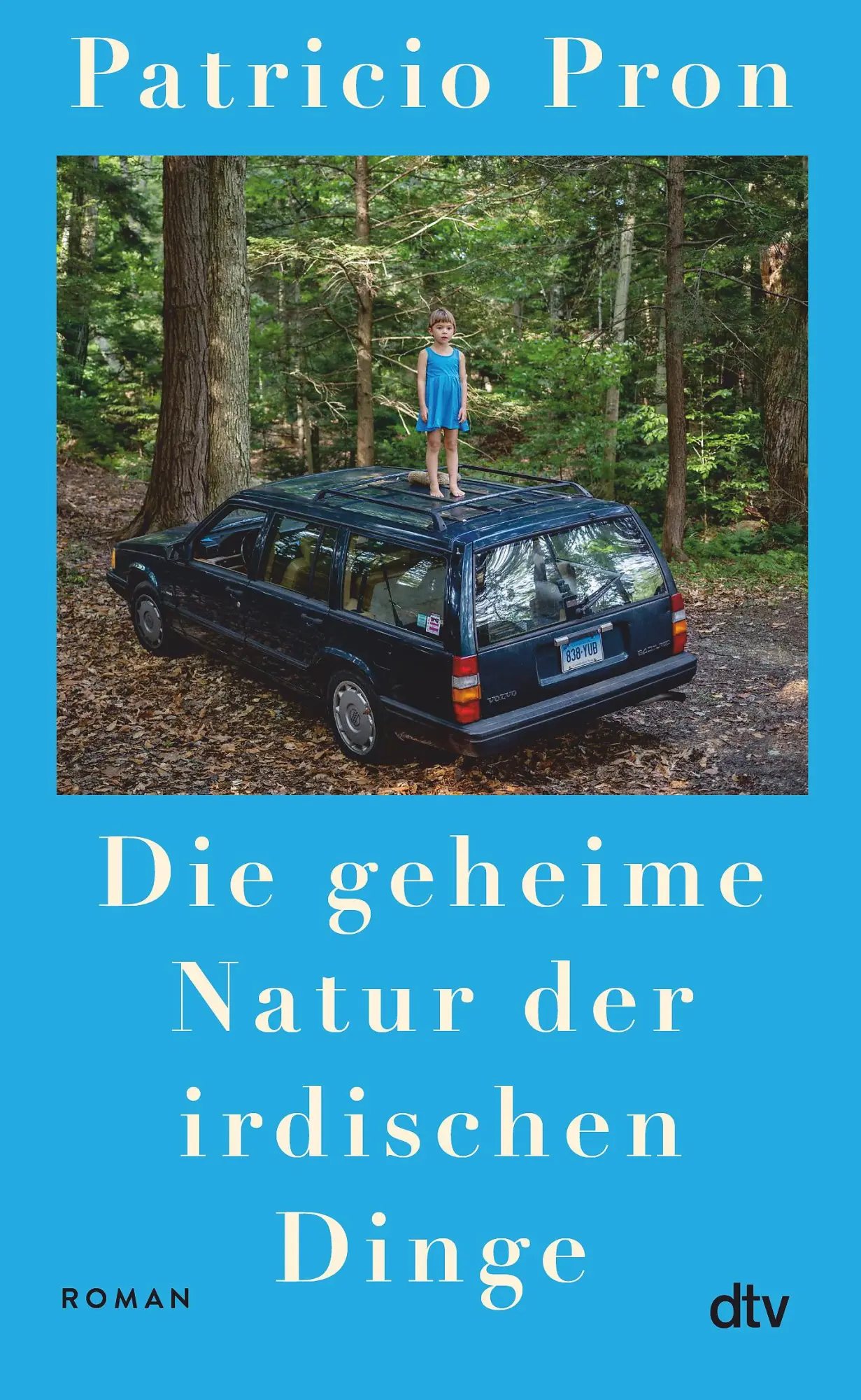 Cover: 9783423284592 | Die geheime Natur der irdischen Dinge | Roman | Patricio Pron | Buch