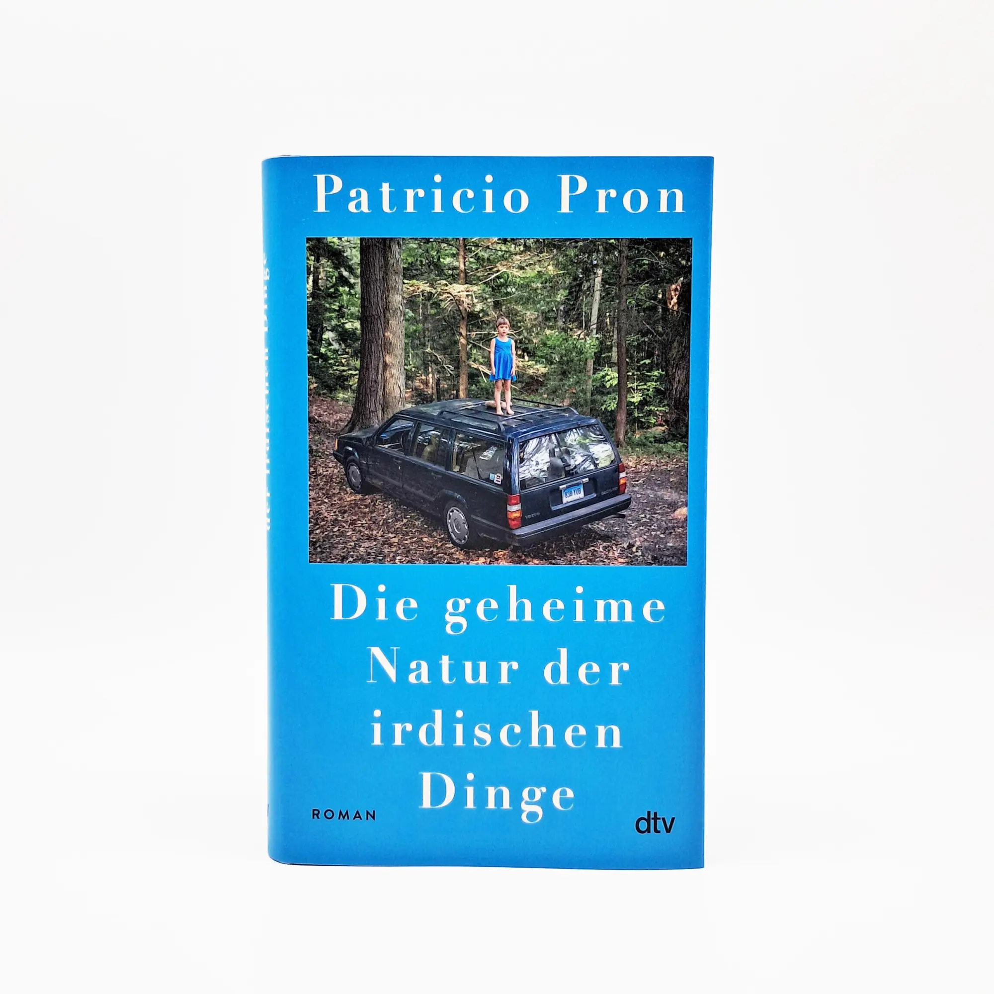 Bild: 9783423284592 | Die geheime Natur der irdischen Dinge | Roman | Patricio Pron | Buch