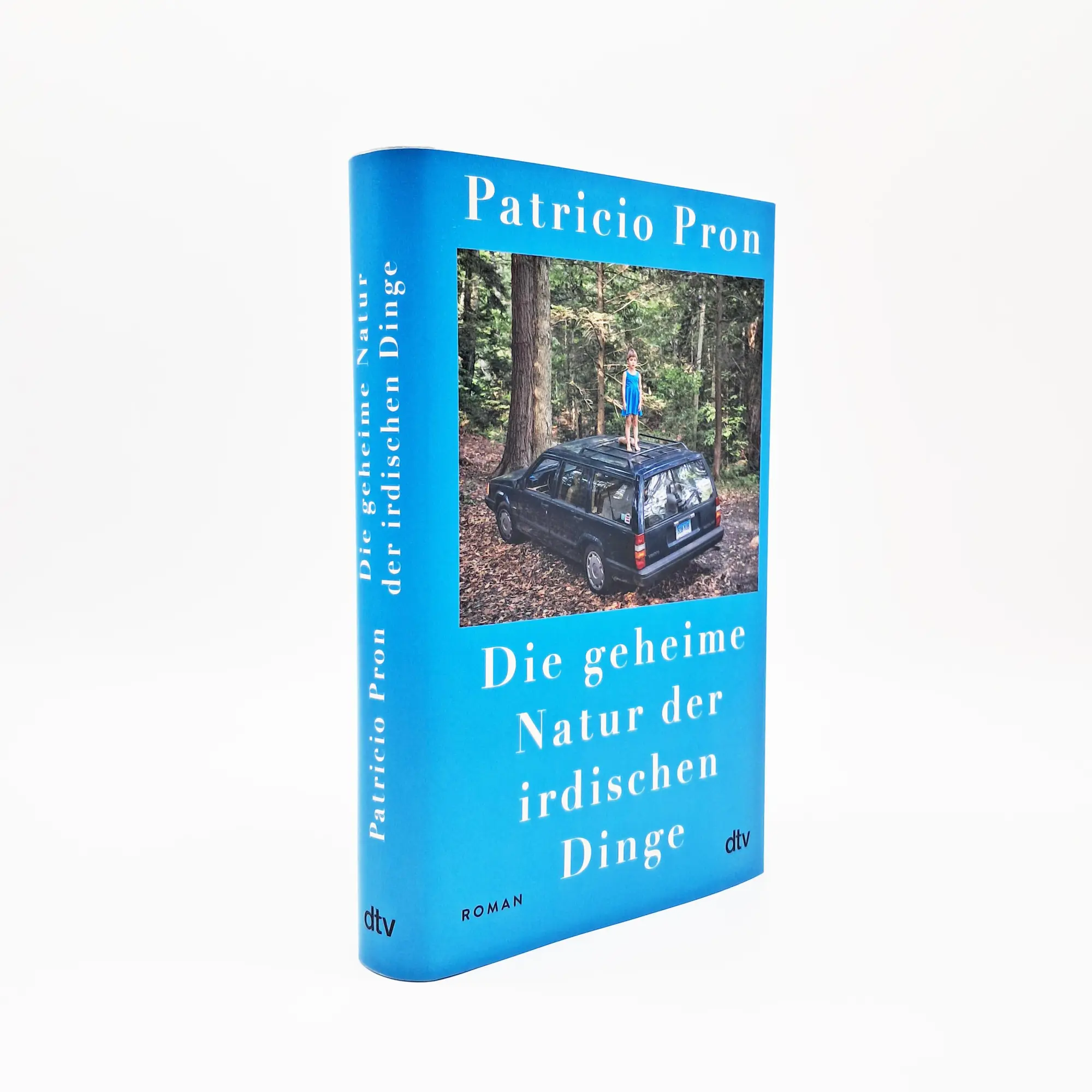 Bild: 9783423284592 | Die geheime Natur der irdischen Dinge | Roman | Patricio Pron | Buch