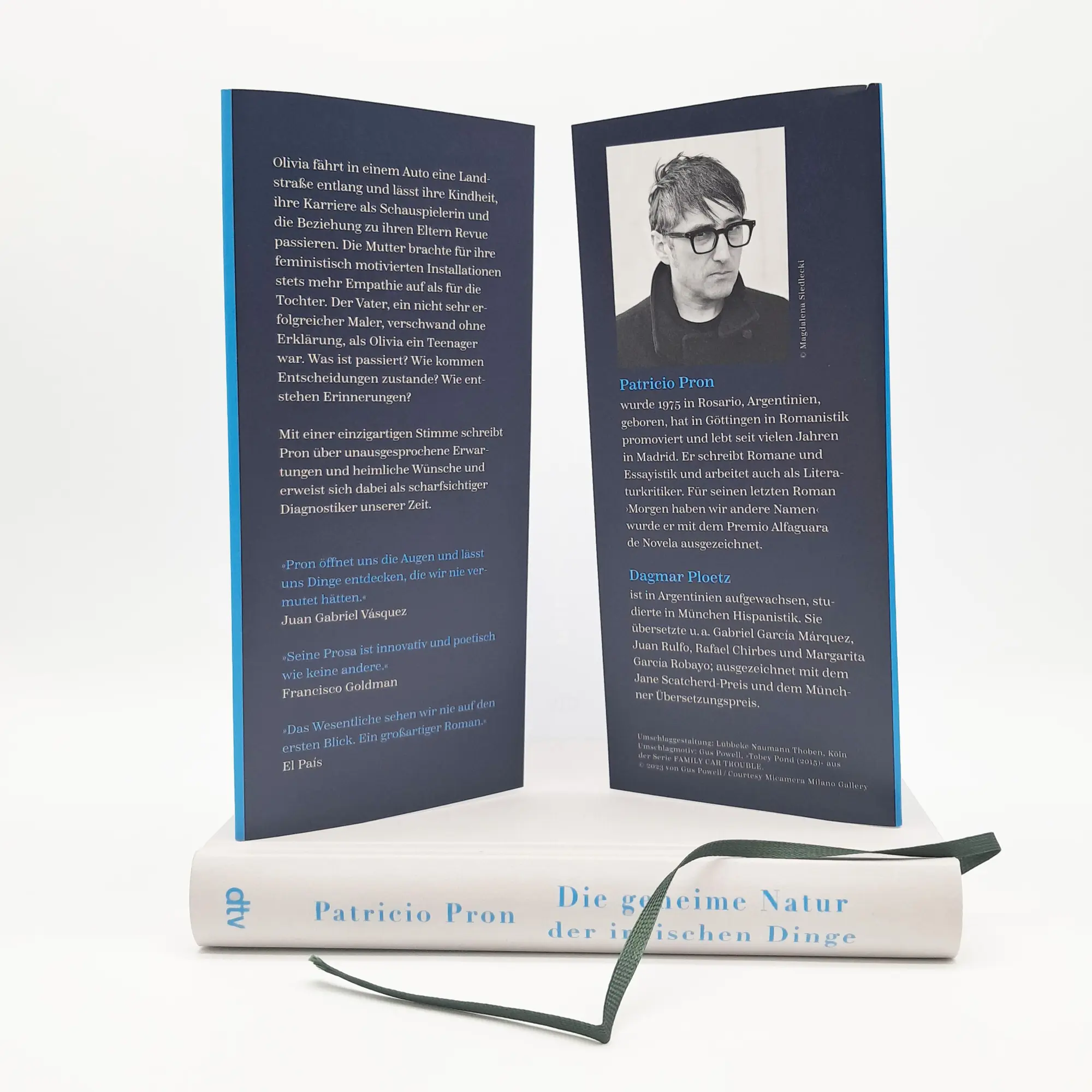 Bild: 9783423284592 | Die geheime Natur der irdischen Dinge | Roman | Patricio Pron | Buch