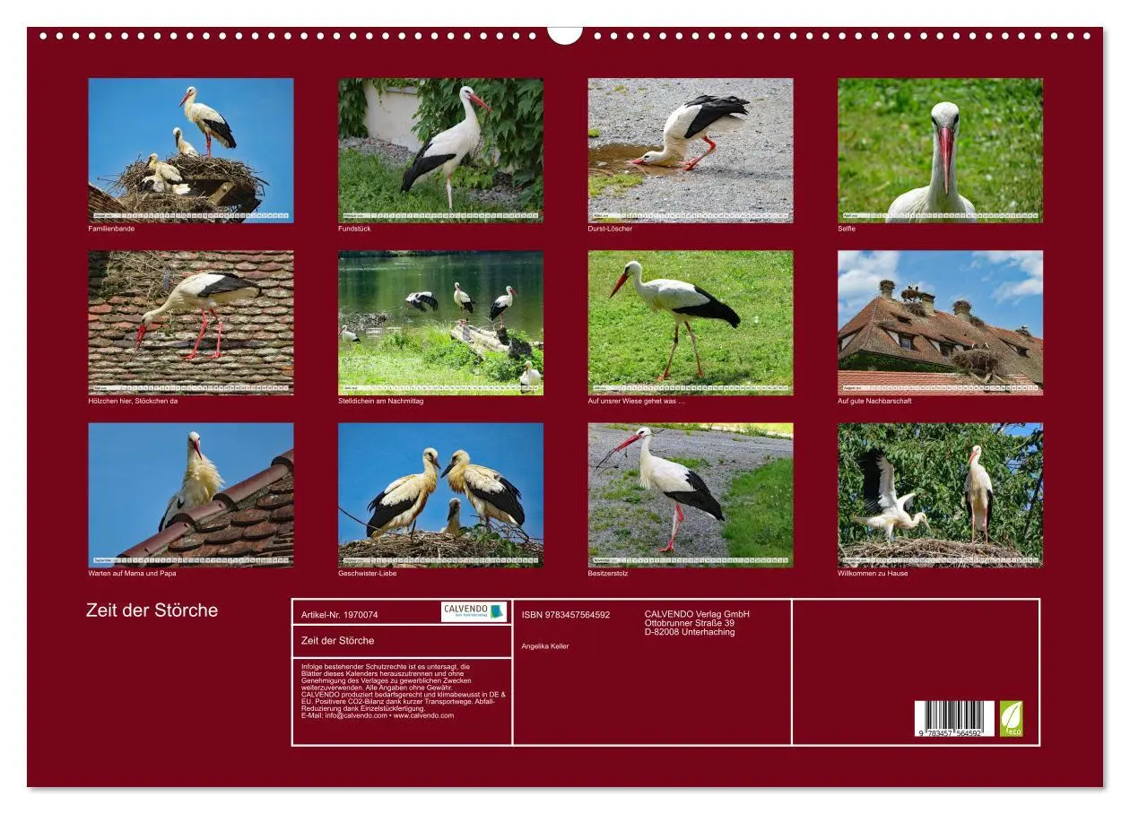 Bild: 9783457564592 | Zeit der Störche (Wandkalender 2026 DIN A2 quer), CALVENDO...