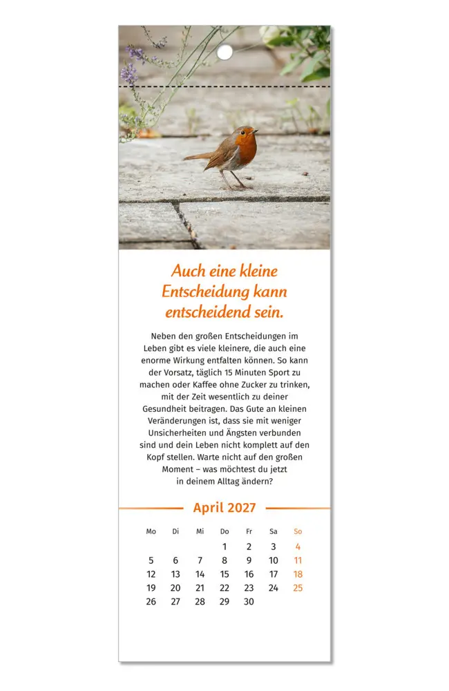 Bild: 9783910294592 | Der Lebensfreude-Lesezeichenkalender 2027 | Doris Wolf (u. a.) | 13 S.