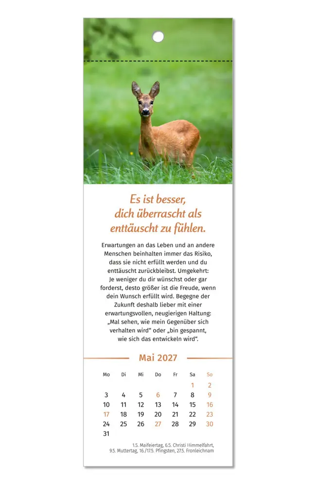 Bild: 9783910294592 | Der Lebensfreude-Lesezeichenkalender 2027 | Doris Wolf (u. a.) | 13 S.