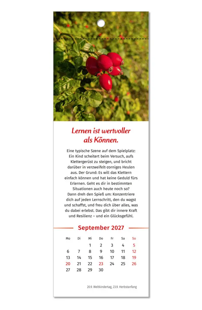 Bild: 9783910294592 | Der Lebensfreude-Lesezeichenkalender 2027 | Doris Wolf (u. a.) | 13 S.