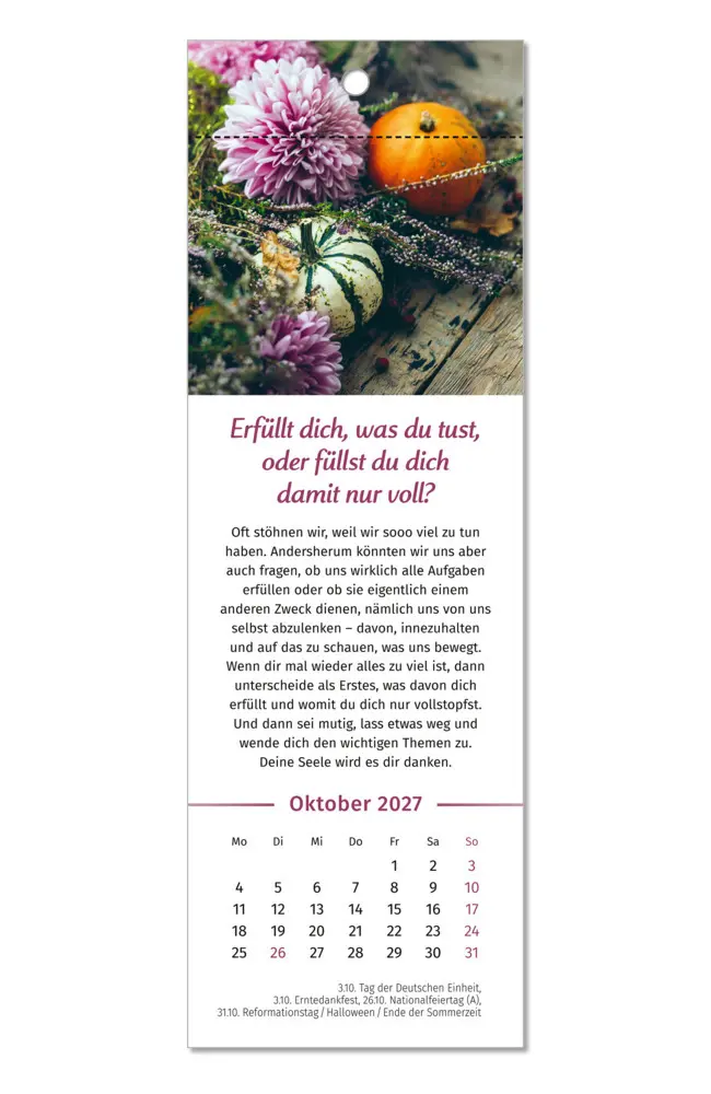 Bild: 9783910294592 | Der Lebensfreude-Lesezeichenkalender 2027 | Doris Wolf (u. a.) | 13 S.