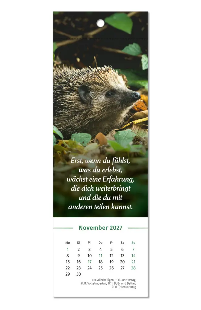 Bild: 9783910294592 | Der Lebensfreude-Lesezeichenkalender 2027 | Doris Wolf (u. a.) | 13 S.