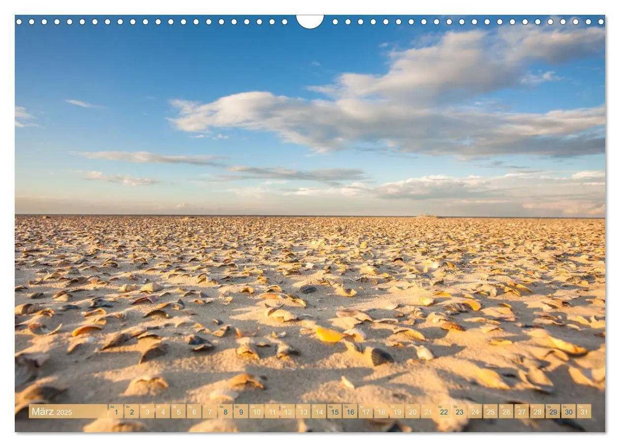 Bild: 9783383994692 | Moin Spiekeroog (Wandkalender 2025 DIN A3 quer), CALVENDO...
