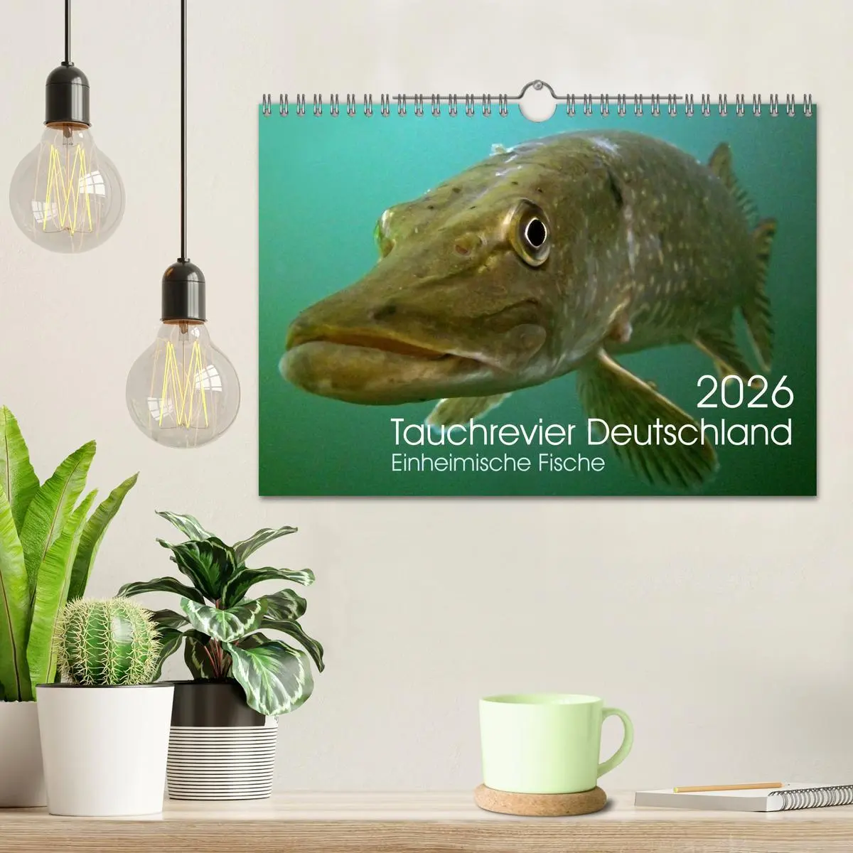 Bild: 9783516024692 | Tauchrevier Deutschland (Wandkalender 2026 DIN A4 quer), CALVENDO...