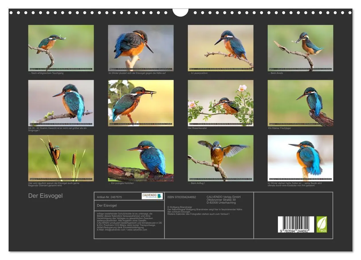 Bild: 9783594244692 | Der Eisvogel (Wandkalender 2027 DIN A3 quer), CALVENDO Monatskalender