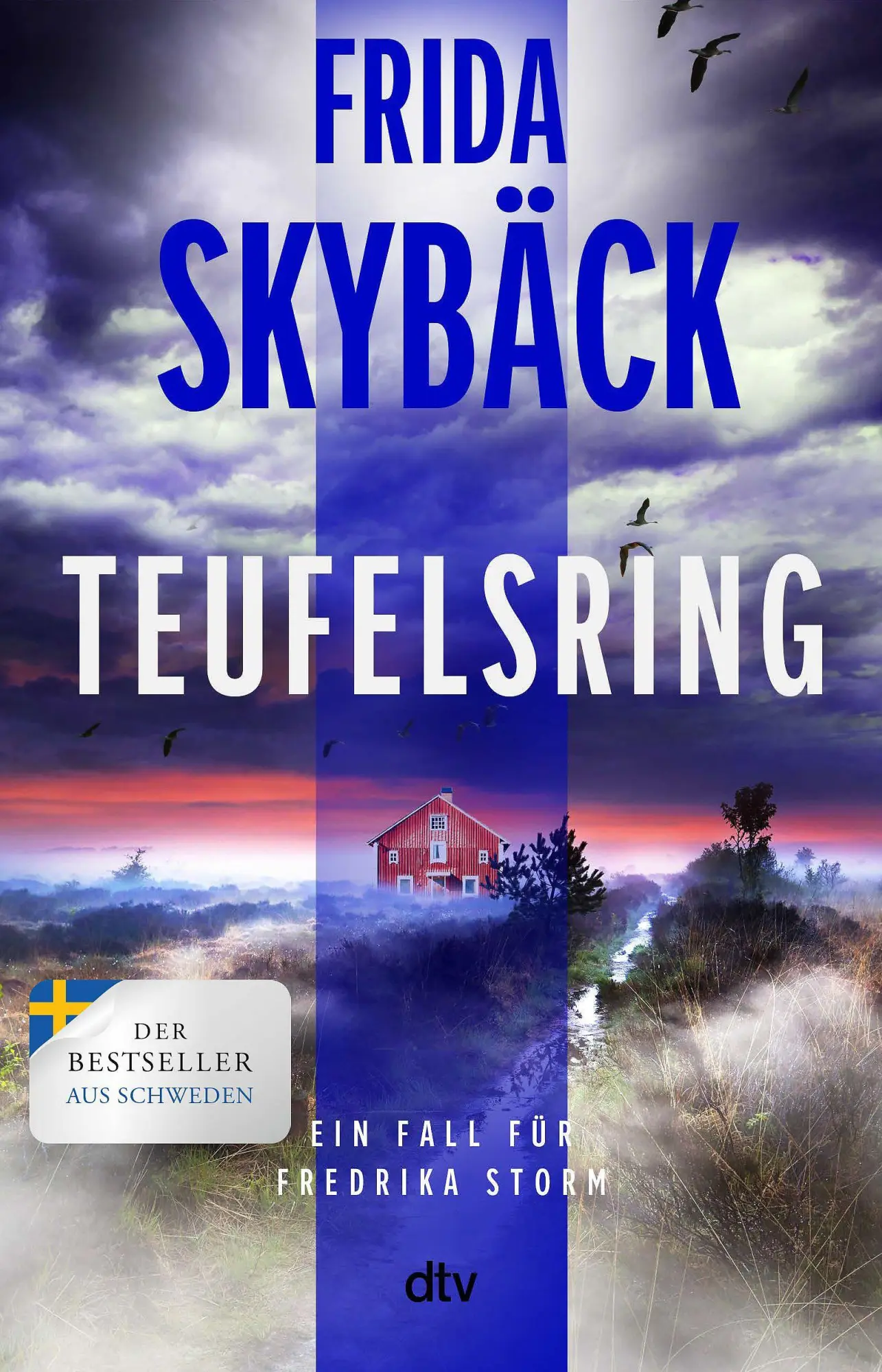 Cover: 9783423264792 | Teufelsring | Frida Skybäck | Taschenbuch | Fredrika Storm | 400 S.