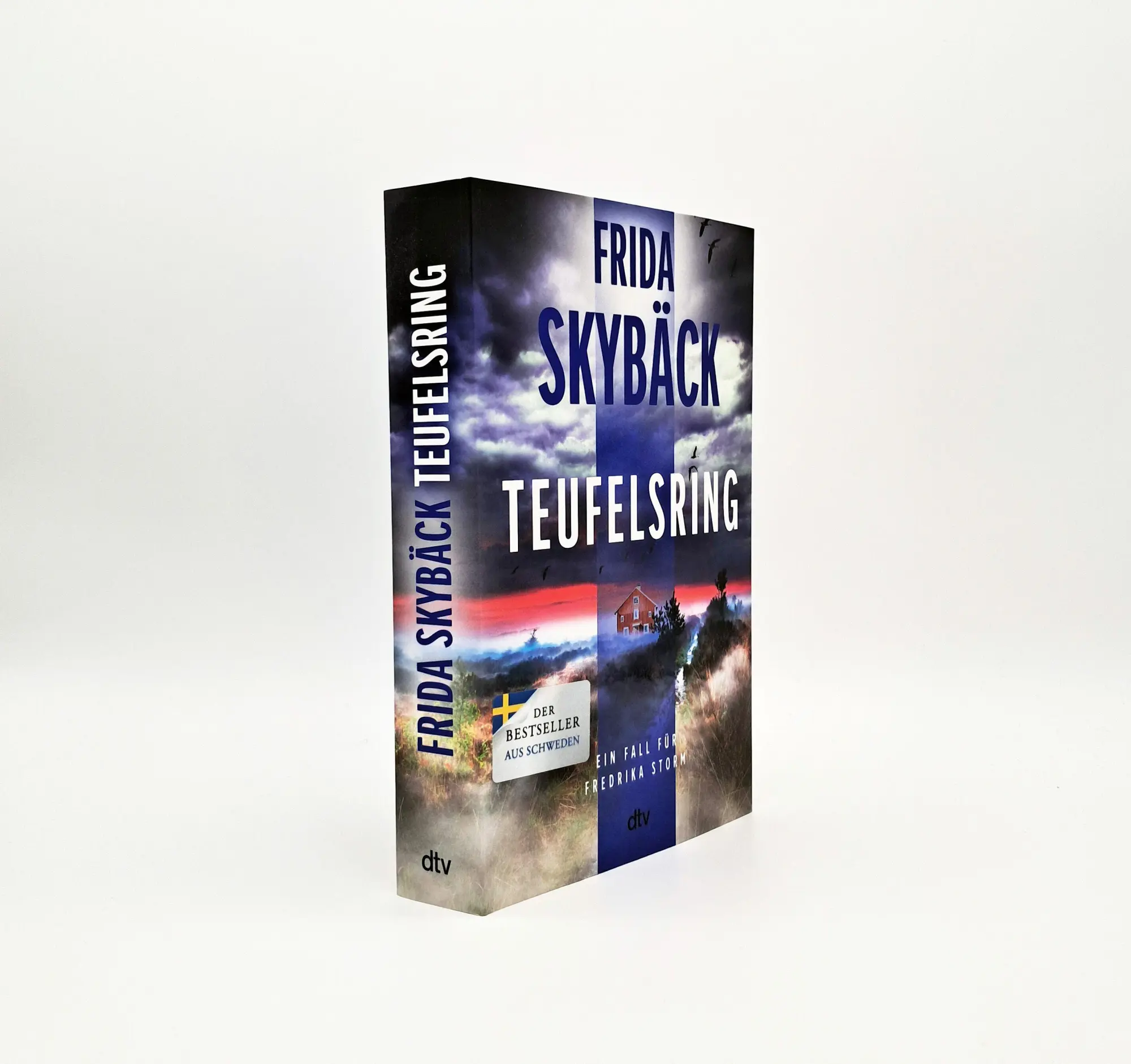 Bild: 9783423264792 | Teufelsring | Frida Skybäck | Taschenbuch | Fredrika Storm | 400 S.