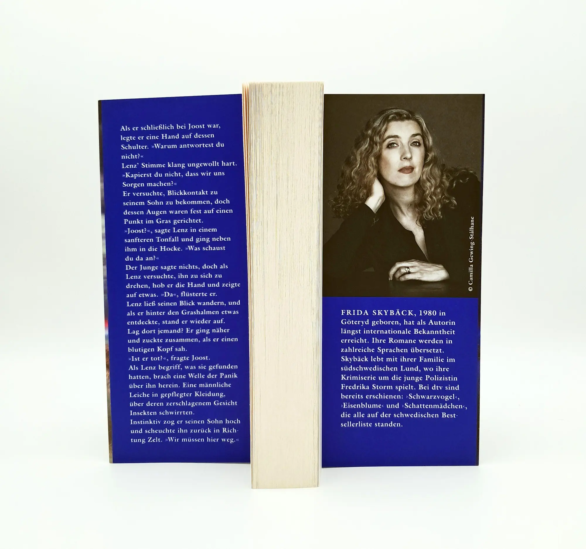 Bild: 9783423264792 | Teufelsring | Frida Skybäck | Taschenbuch | Fredrika Storm | 400 S.