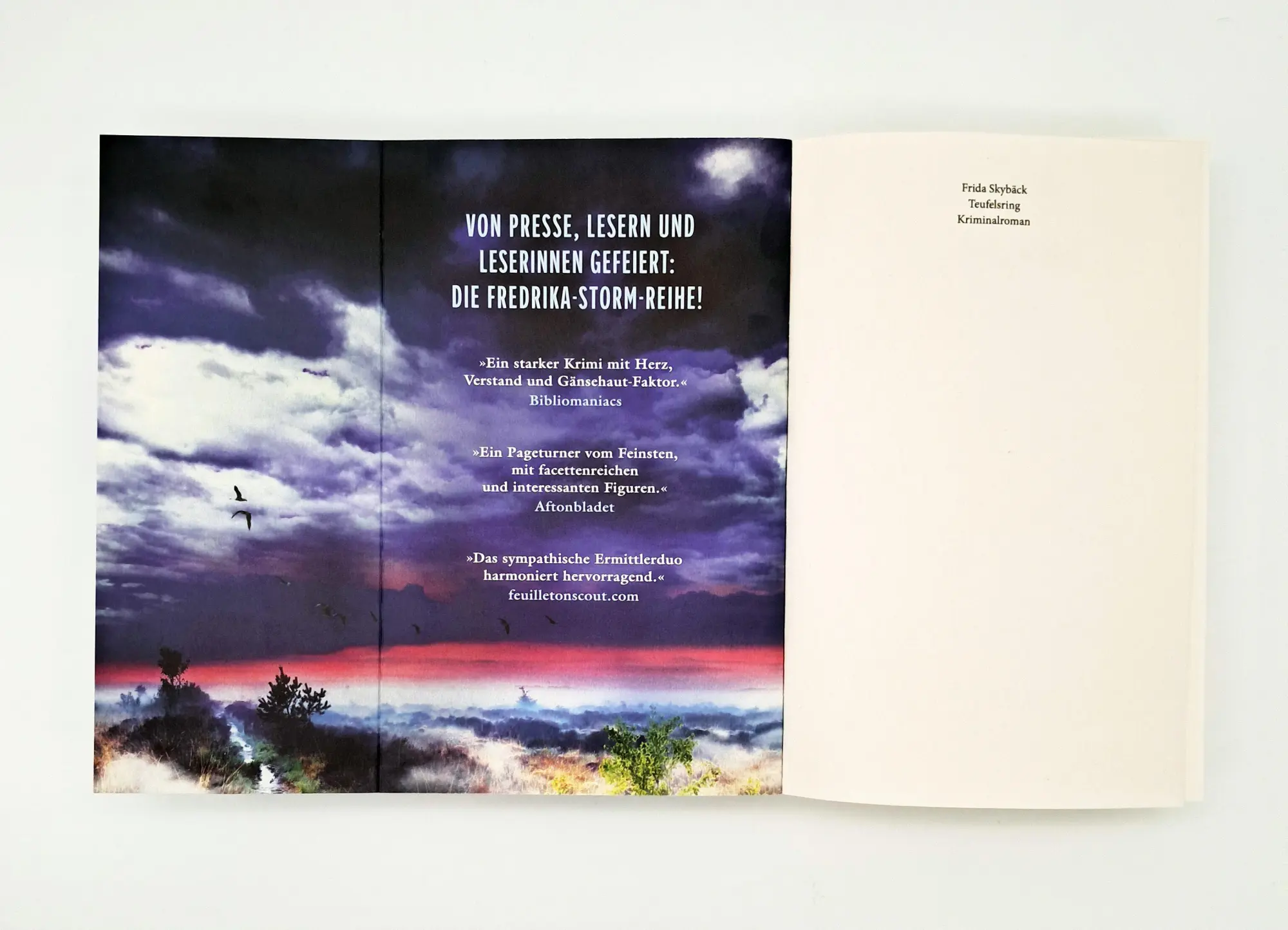 Bild: 9783423264792 | Teufelsring | Frida Skybäck | Taschenbuch | Fredrika Storm | 400 S.