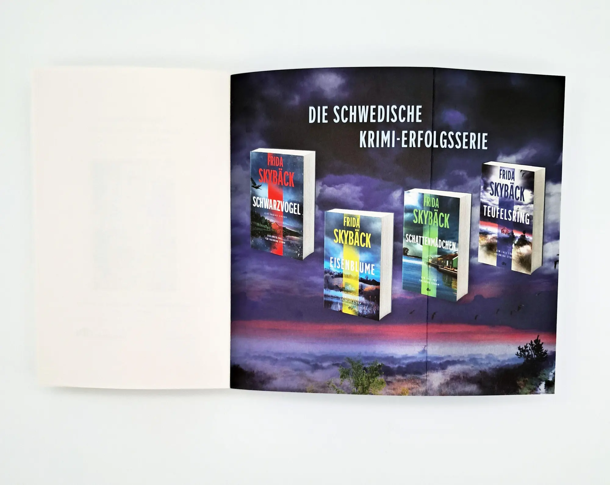 Bild: 9783423264792 | Teufelsring | Frida Skybäck | Taschenbuch | Fredrika Storm | 400 S.