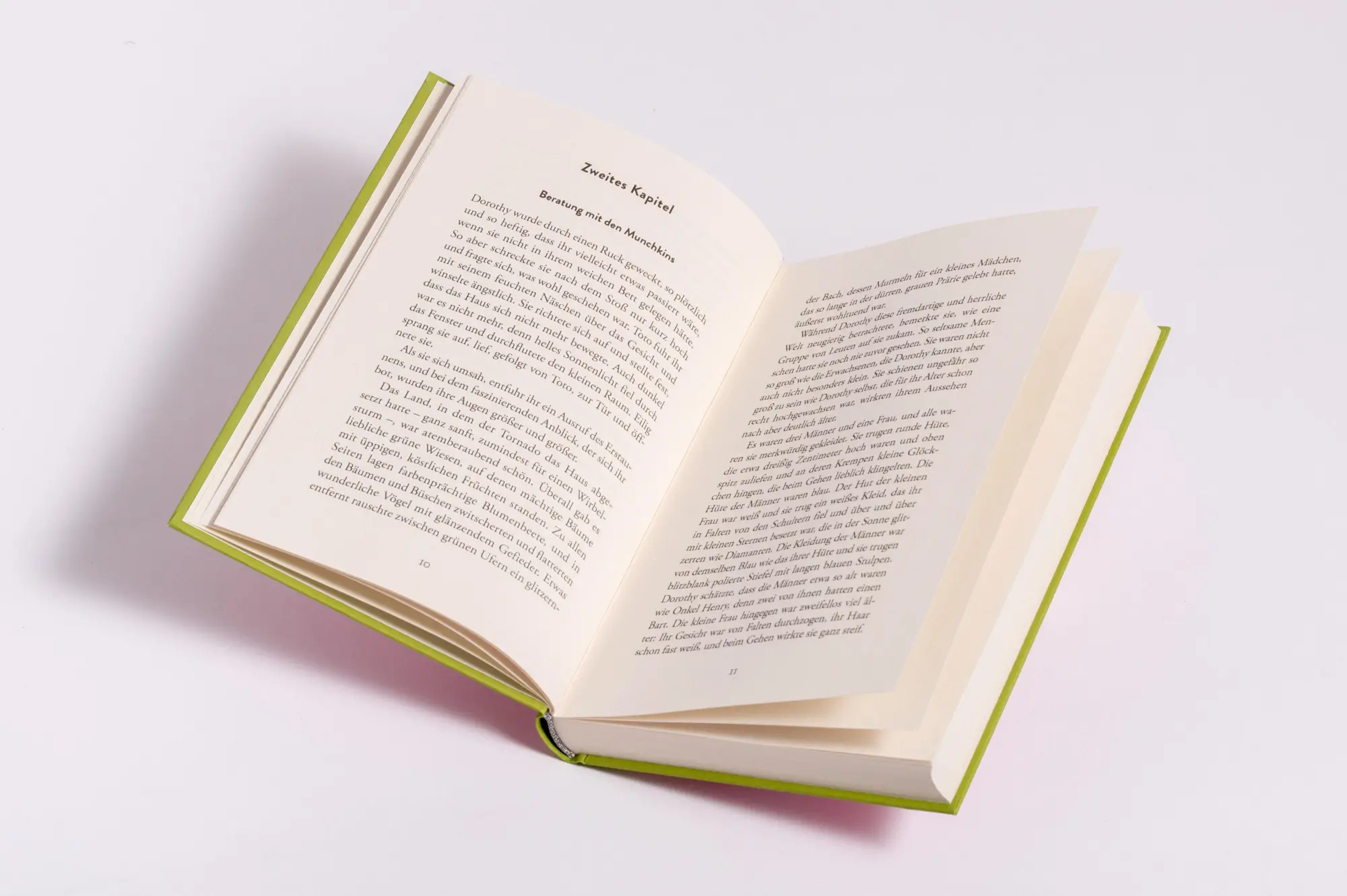 Bild: 9783730614792 | Der Zauberer von Oz. Schmuckausgabe mit Silberprägung | Baum | Buch