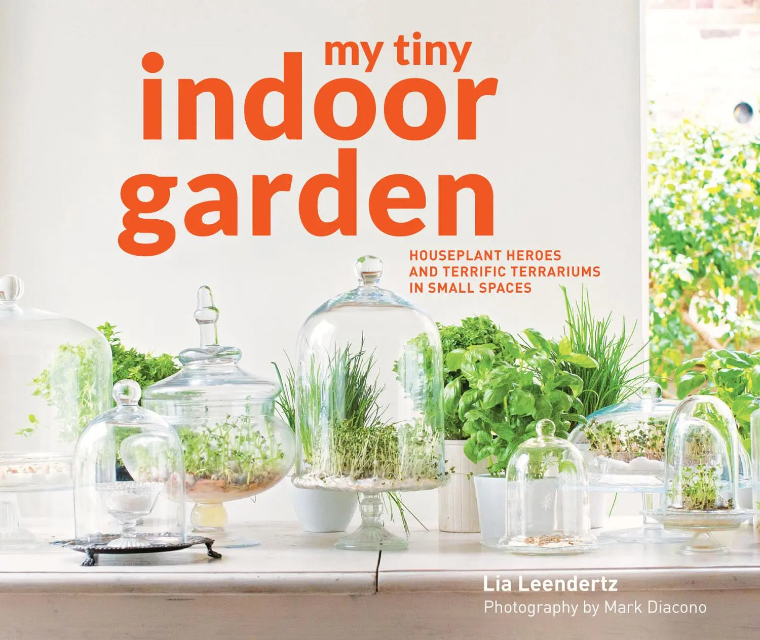 Cover: 9781910904992 | My Tiny Indoor Garden | Lia Leendertz (u. a.) | Buch | Gebunden | 2016