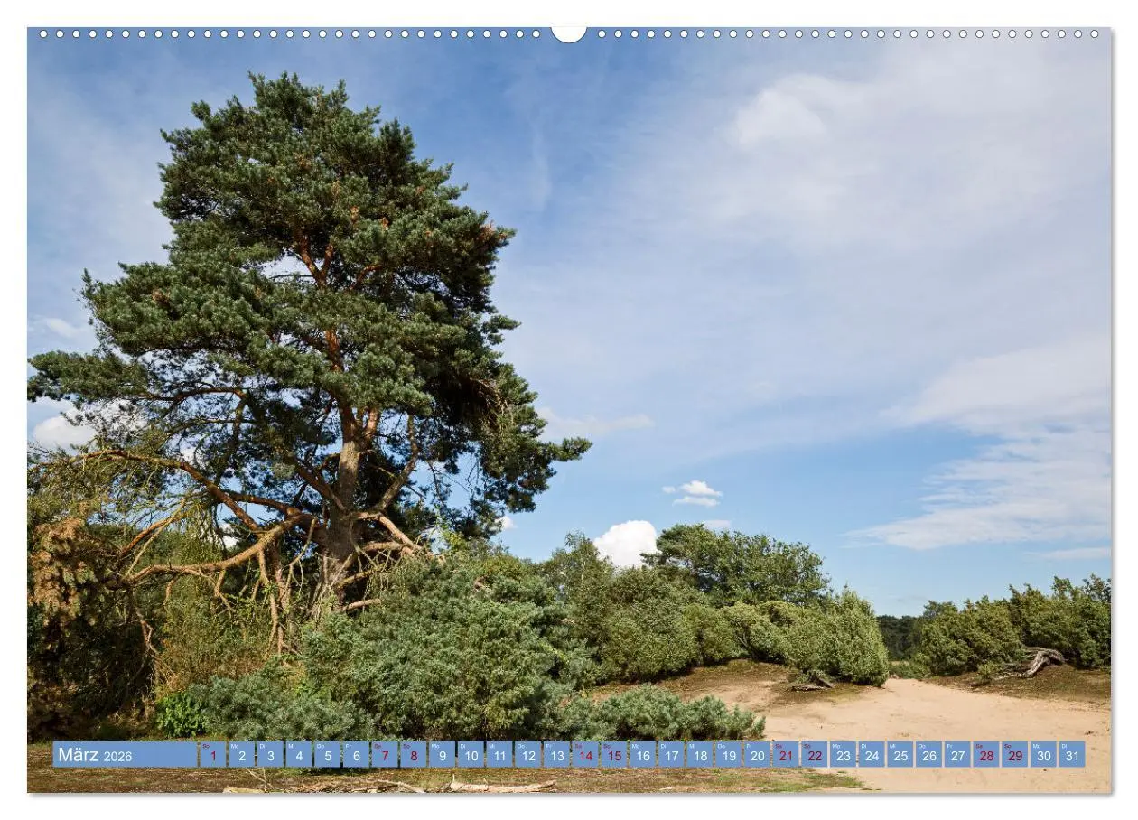 Bild: 9783457454992 | Haltern am See (hochwertiger Premium Wandkalender 2026 DIN A2...