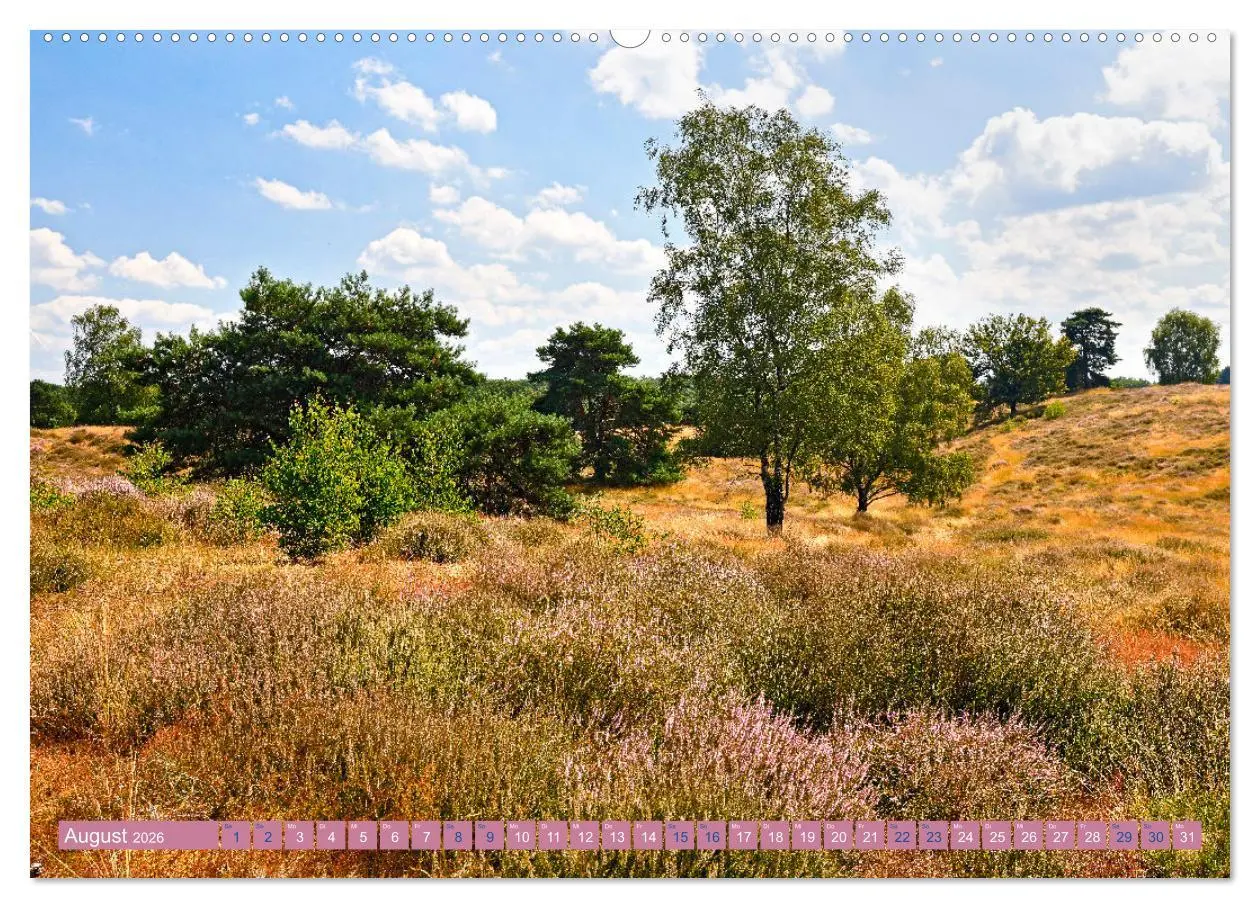 Bild: 9783457454992 | Haltern am See (hochwertiger Premium Wandkalender 2026 DIN A2...