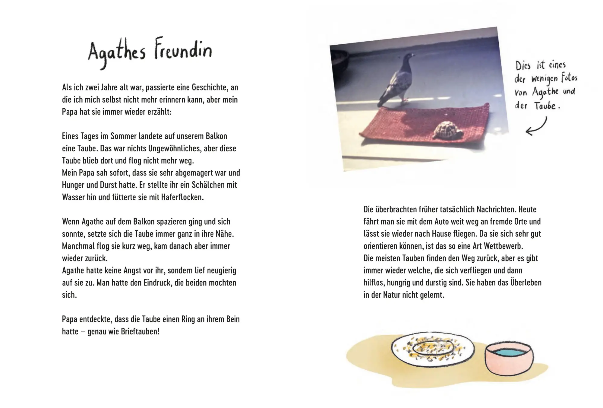Bild: 9783895654992 | Agathe | Papas Schildkröte und ich | Antje Damm | Buch | 72 S. | 2026