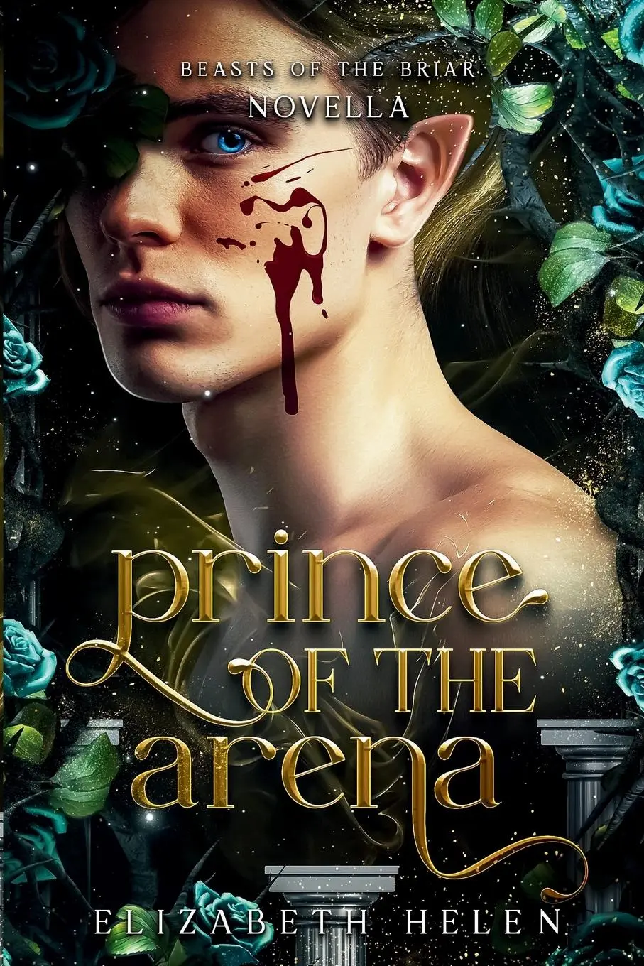 Cover: 9781998945092 | Prince of the Arena | A Beasts of the Briar Prequel Novella | Helen