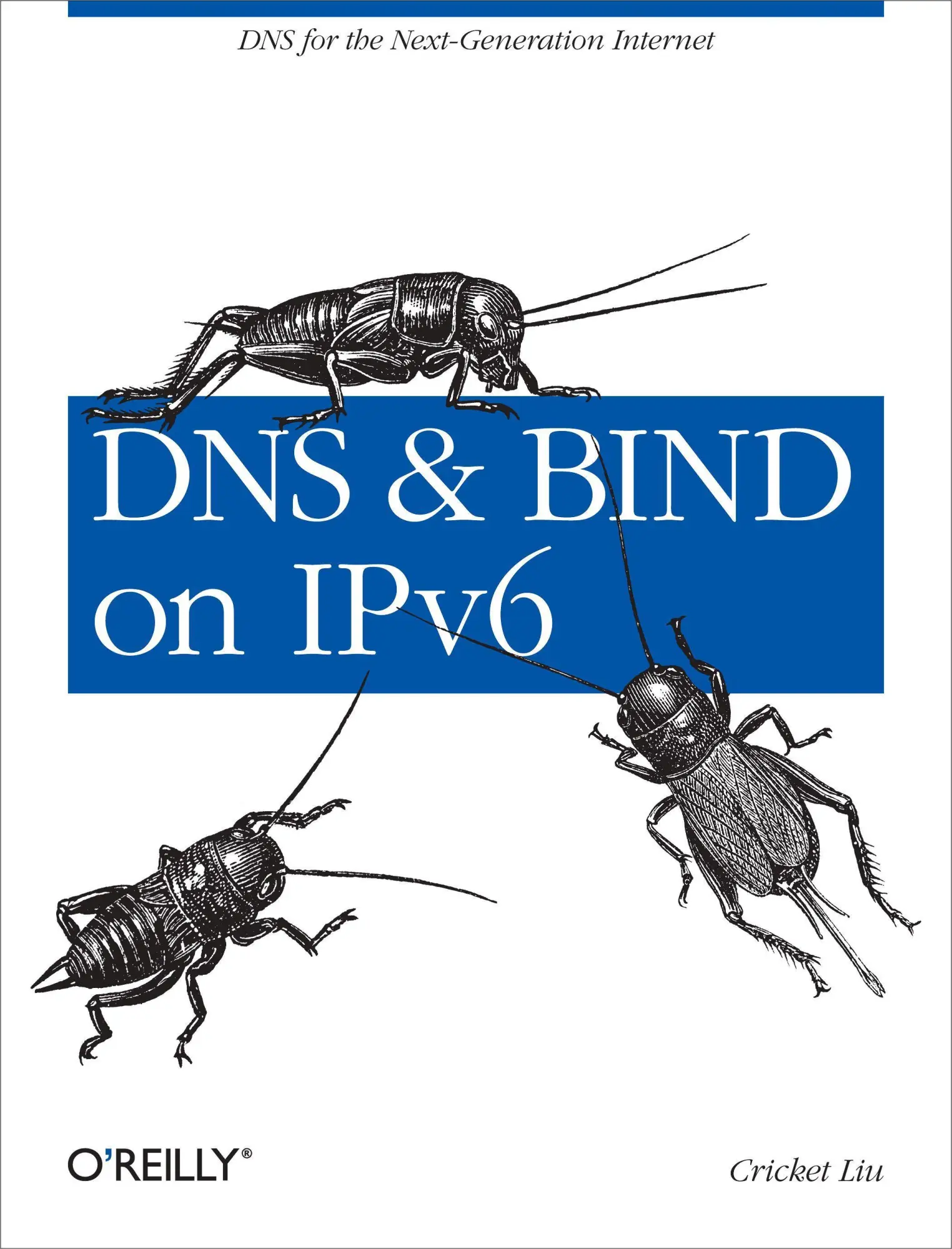 Cover: 9781449305192 | DNS and Bind on Ipv6 | DNS for the Next-Generation Internet | Liu