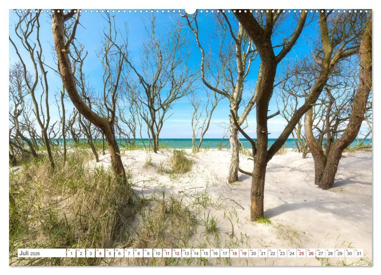 Bild: 9783457575192 | Fischland Darß, Land zwischen Ostsee und Bodden (Wandkalender 2026...