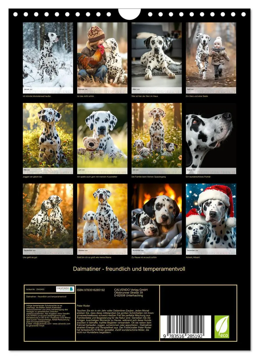 Bild: 9783516285192 | Dalmatiner - freundlich und temperamentvoll (Wandkalender 2026 DIN...