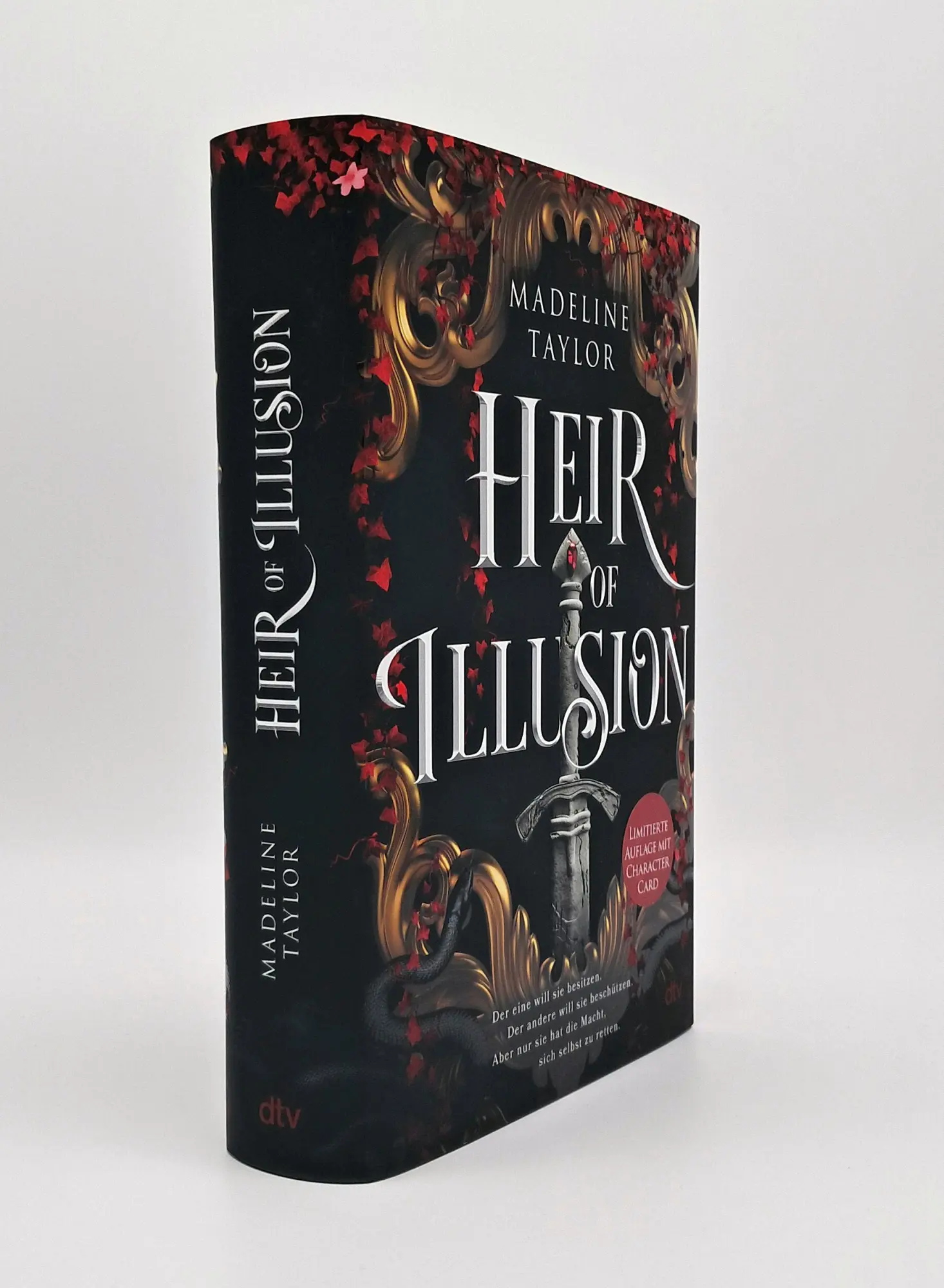 Bild: 9783423285292 | Heir of Illusion | Madeline Taylor | Buch | 560 S. | Deutsch | 2025