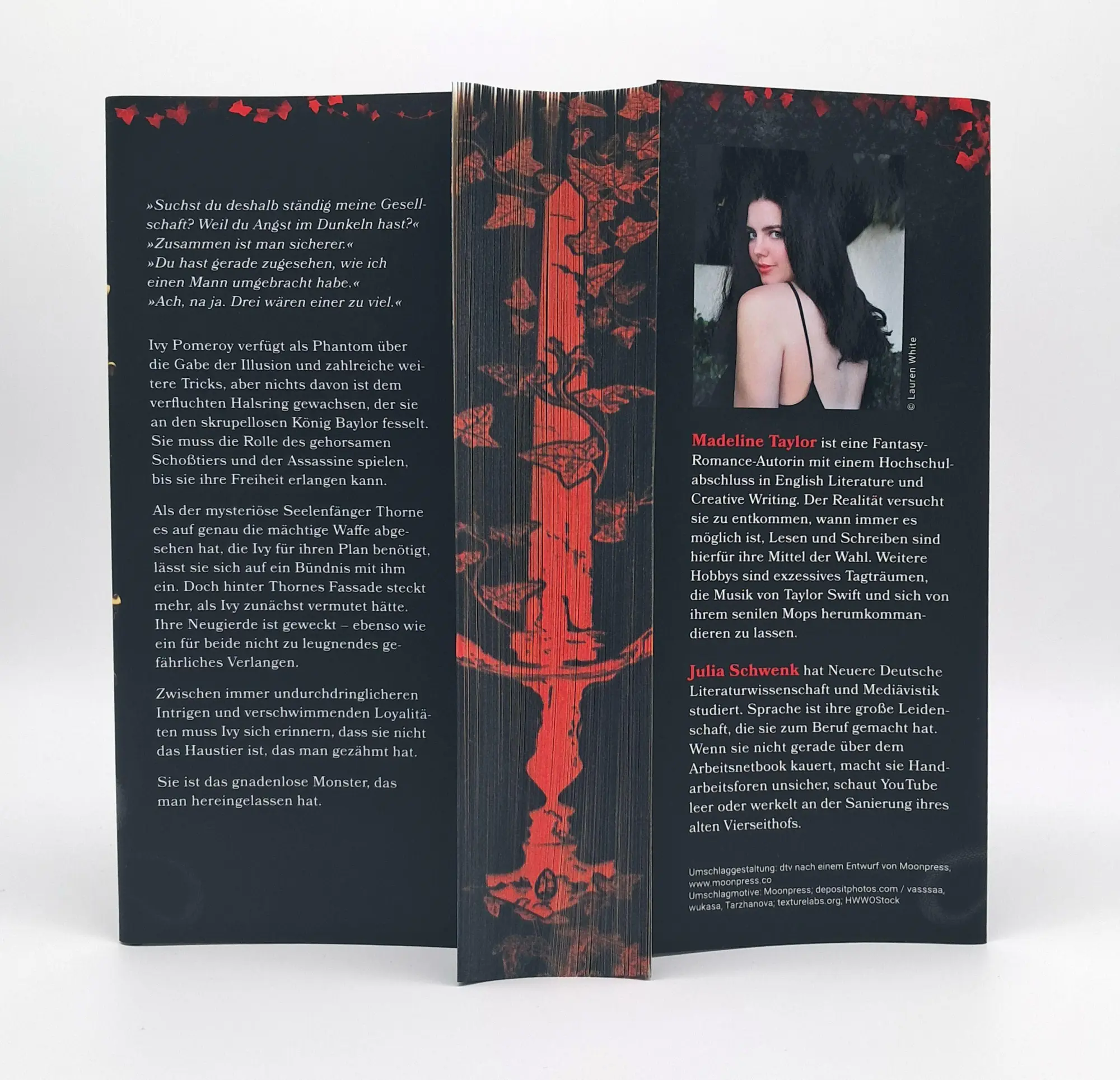 Bild: 9783423285292 | Heir of Illusion | Madeline Taylor | Buch | 560 S. | Deutsch | 2025