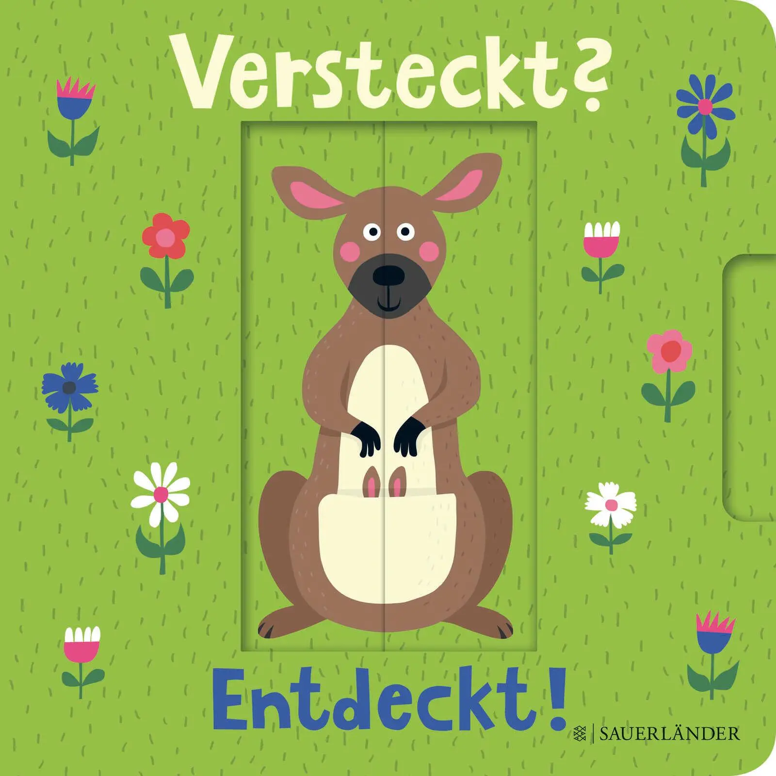 Cover: 9783737355292 | Versteckt? Entdeckt! | Nastja Holtfreter | Buch | 12 S. | Deutsch