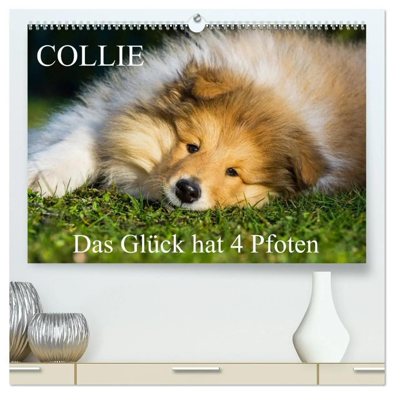 Cover: 9783569735392 | Collie - Das Glück hat 4 Pfoten (hochwertiger Premium Wandkalender...