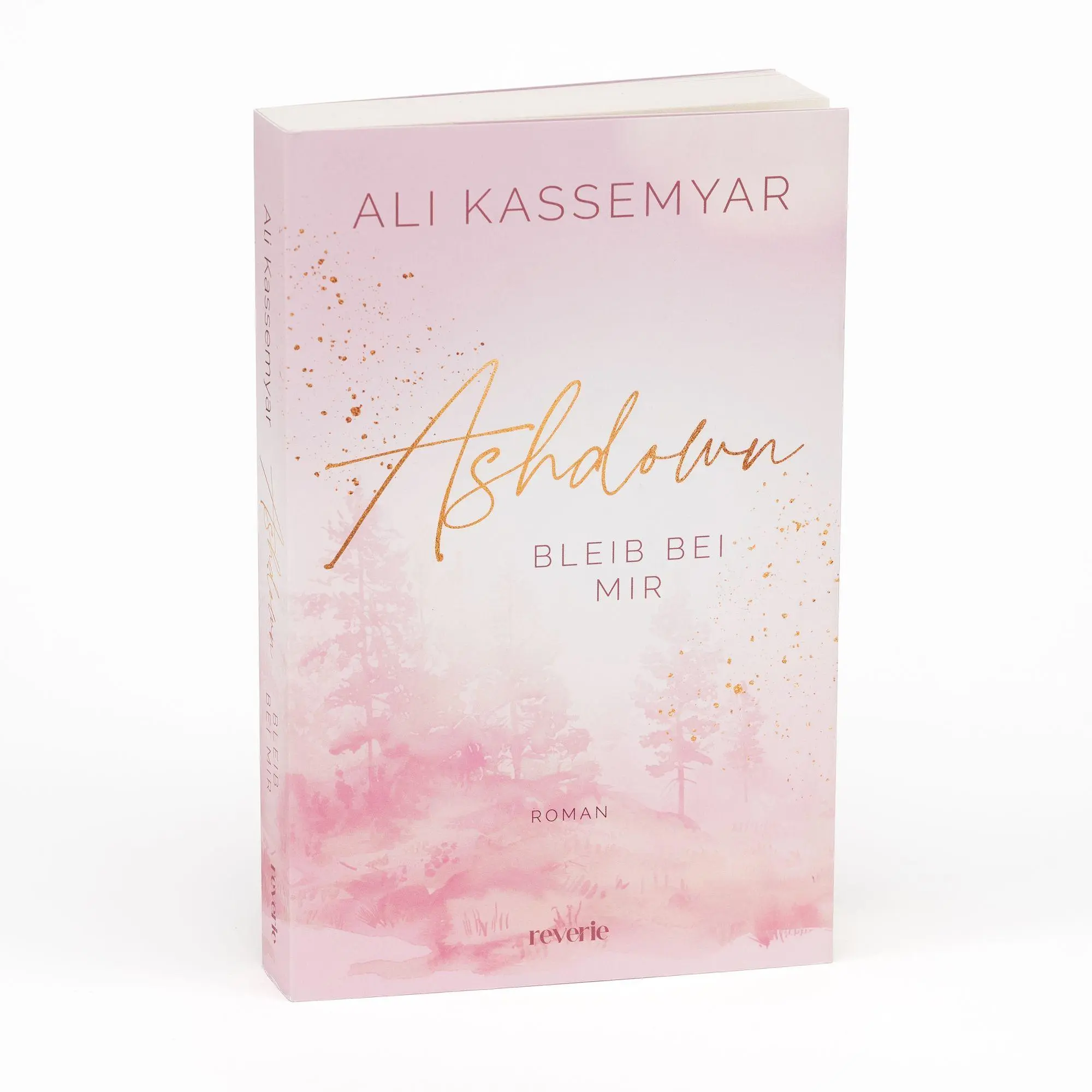 Bild: 9783745705492 | Ashdown. Bleib bei mir | Ali Kassemyar | Taschenbuch | 320 S. | 2026