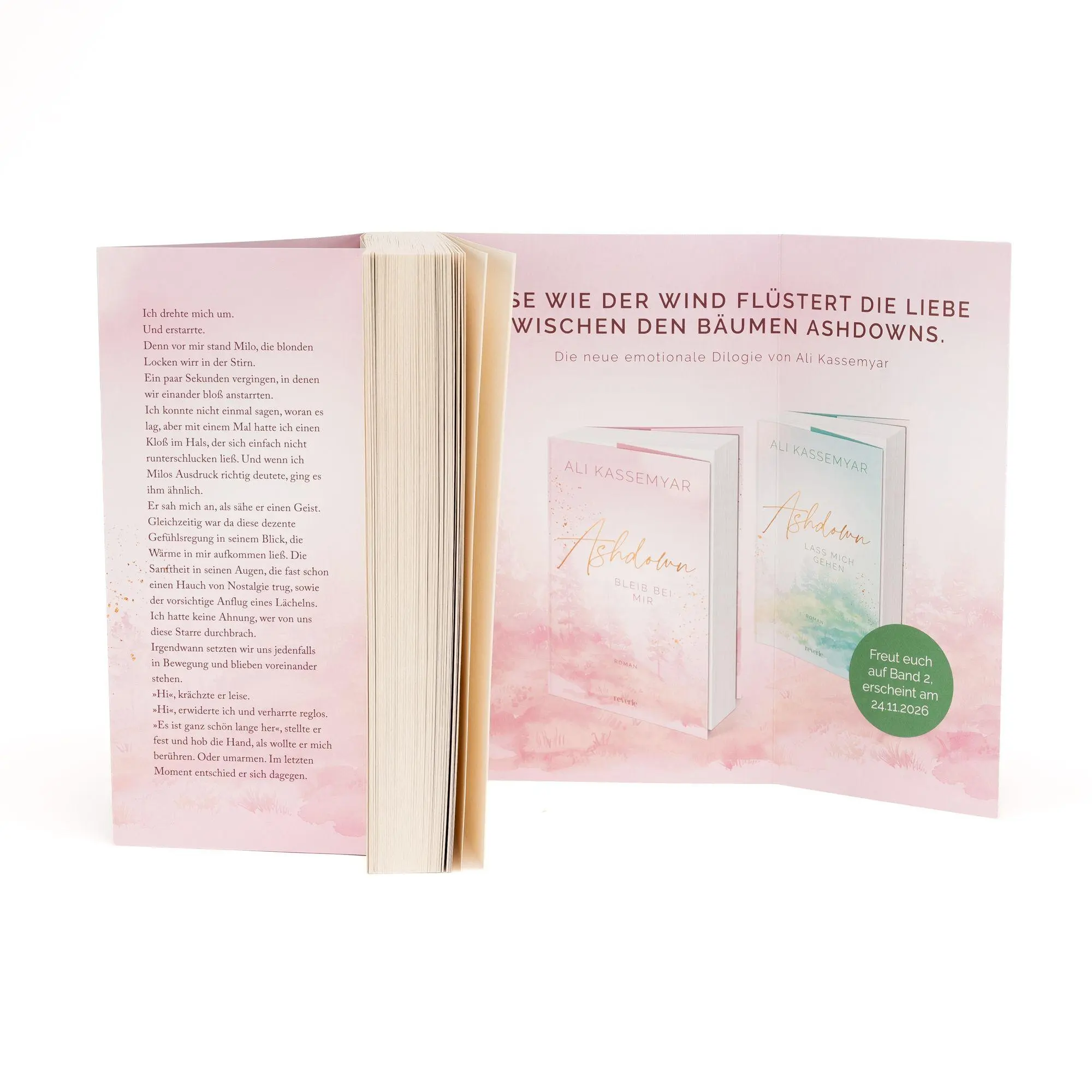 Bild: 9783745705492 | Ashdown. Bleib bei mir | Ali Kassemyar | Taschenbuch | 320 S. | 2026