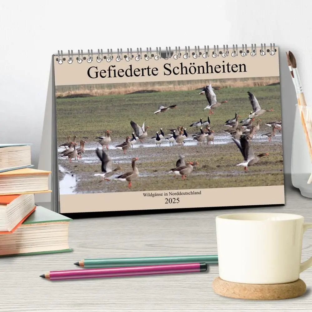 Bild: 9783435375592 | Gefiederte Schönheiten - Wildgänse in Norddeutschland...