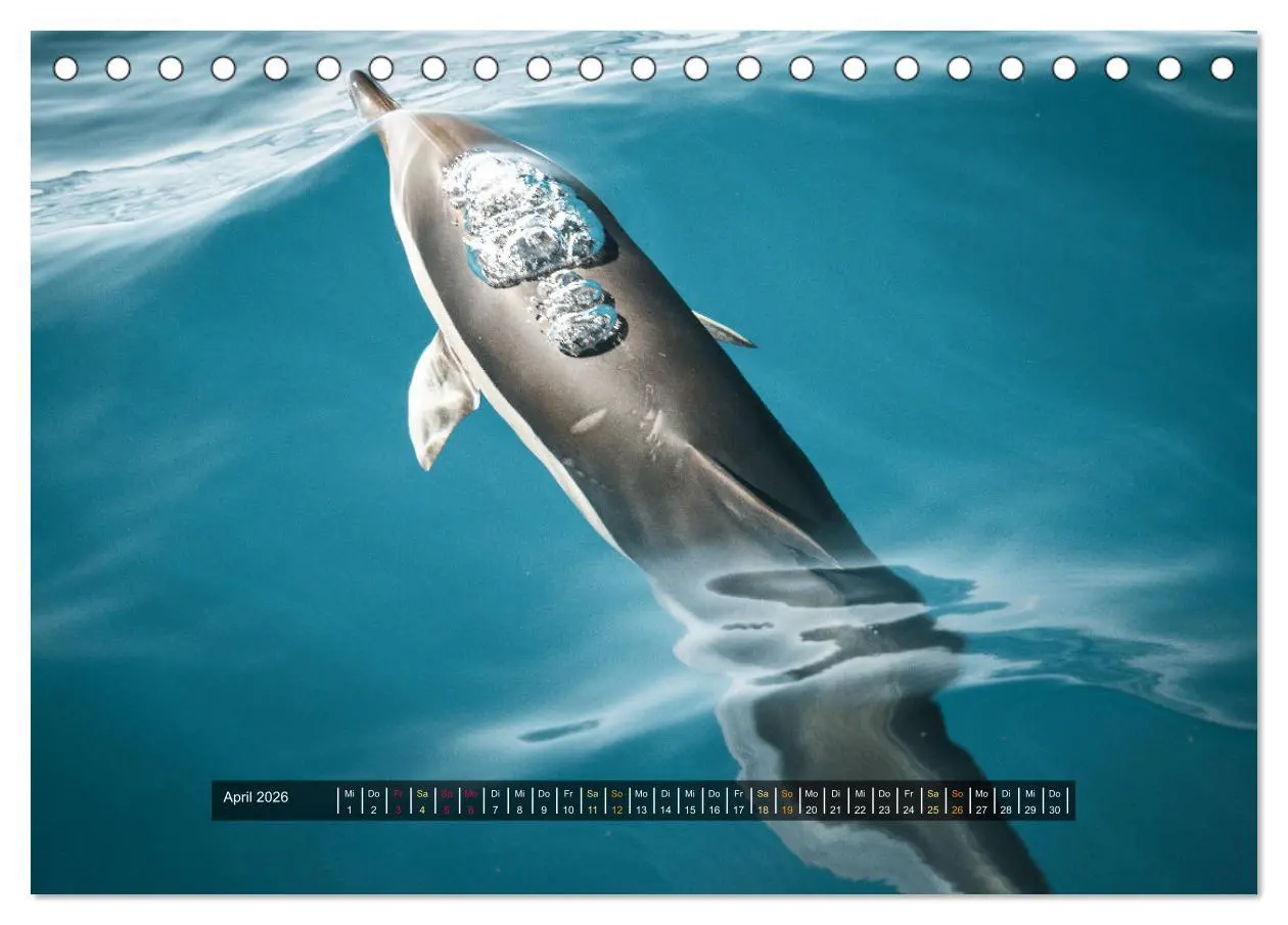 Bild: 9783457605592 | Madeira - Paradies im Atlantik (Tischkalender 2026 DIN A5 quer),...