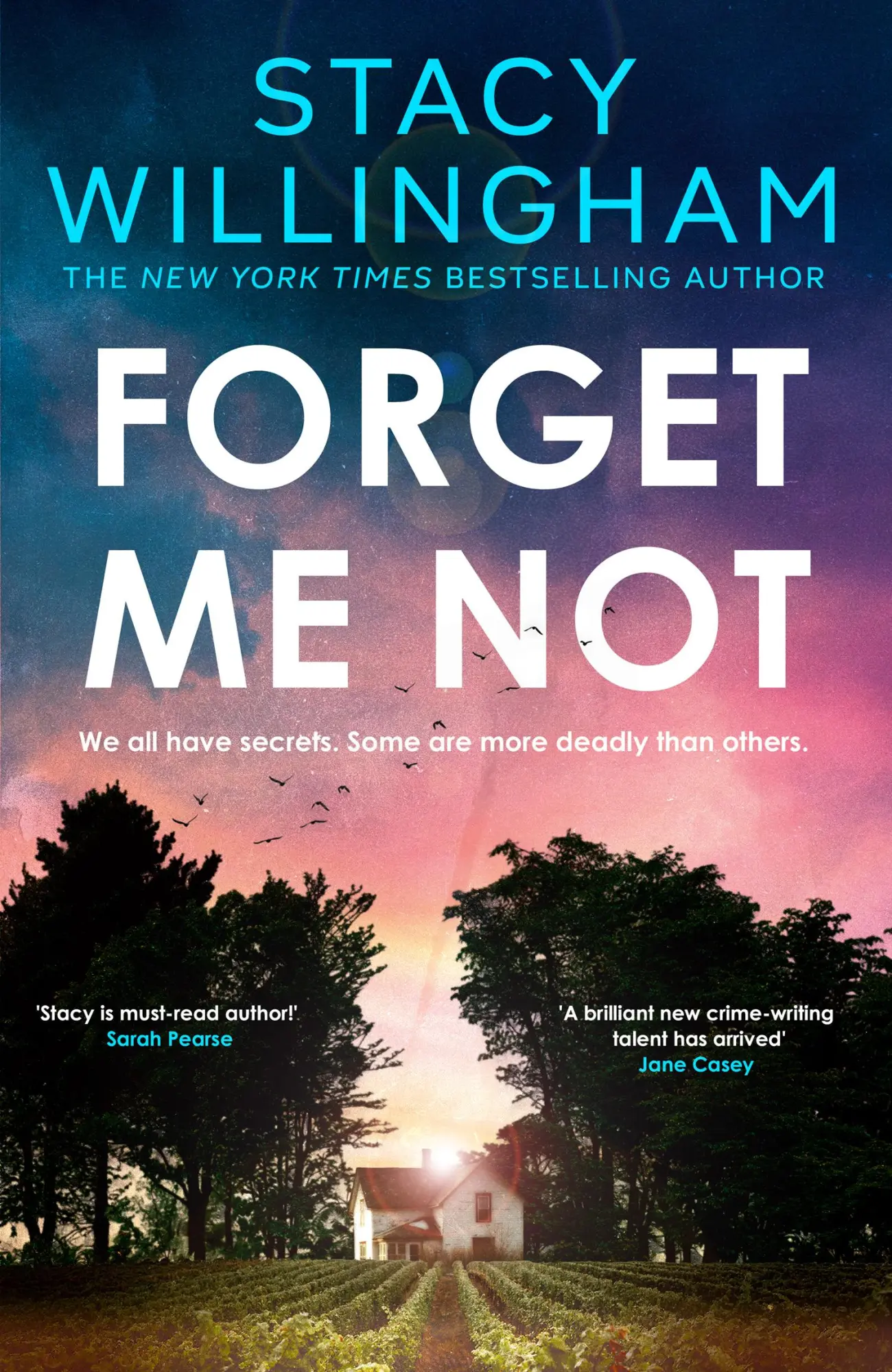 Cover: 9780008595692 | Forget Me Not | Stacy Willingham | Taschenbuch | Paperback | Englisch