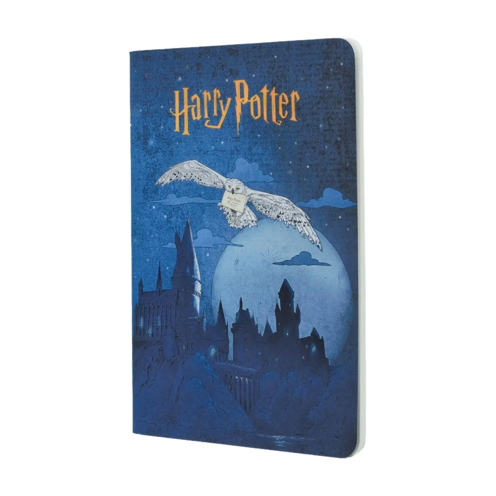 Cover: 9781408765692 | Escape to Hogwarts (Harry Potter Collection) A5 Grid Cahier | Buch