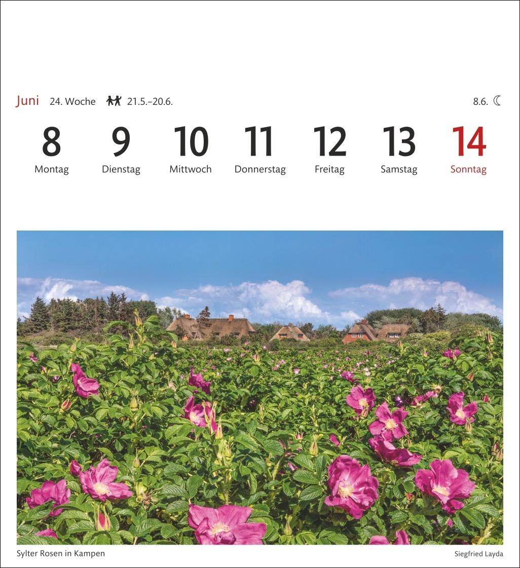 Bild: 9783840035692 | Sylt Sehnsuchtskalender 2026 - Wochenkalender mit 53 Postkarten | 2026