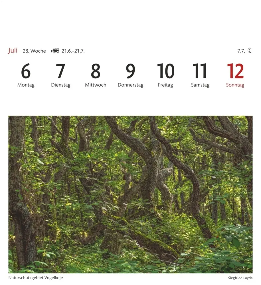 Bild: 9783840035692 | Sylt Sehnsuchtskalender 2026 - Wochenkalender mit 53 Postkarten | 2026