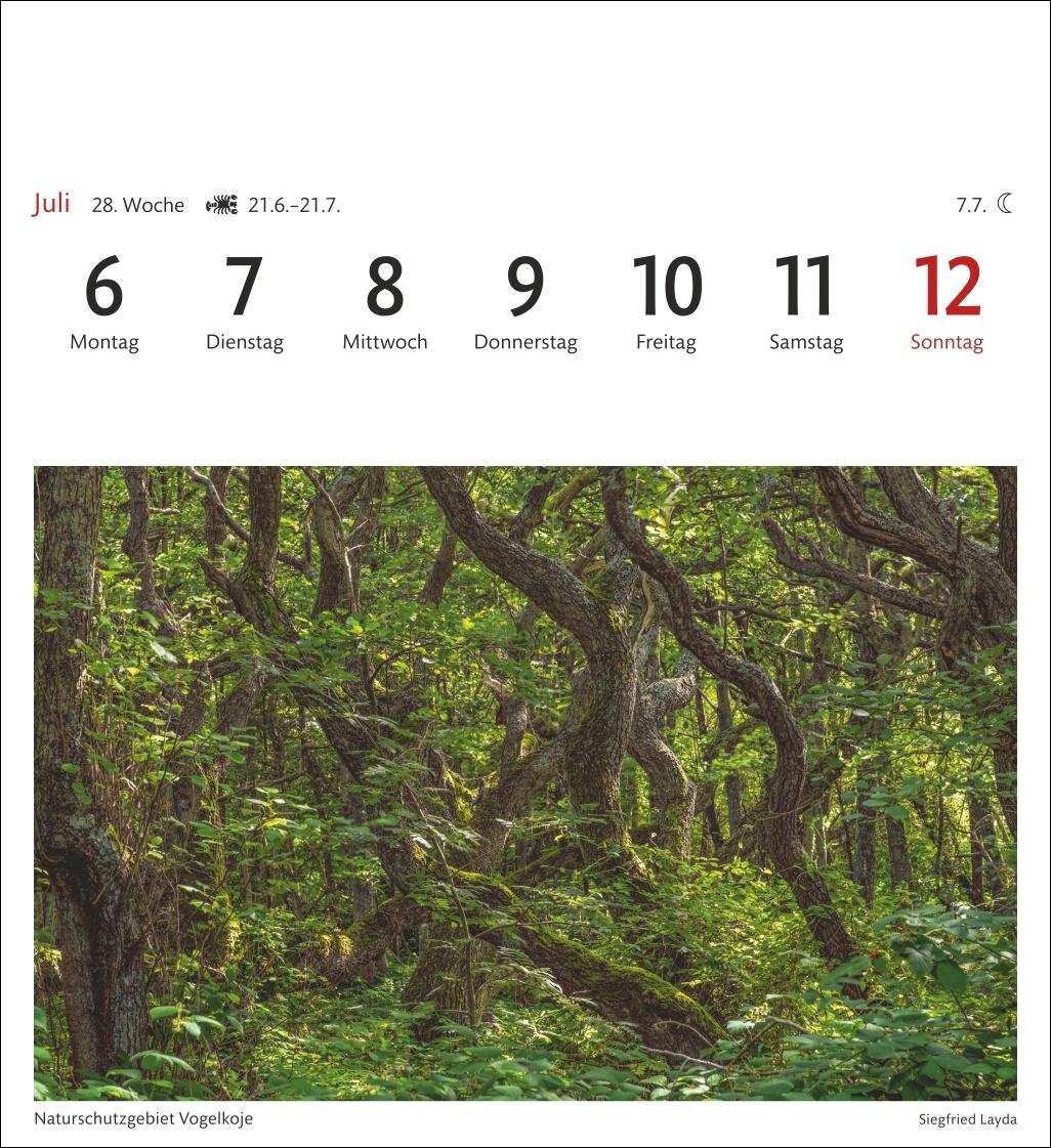 Bild: 9783840035692 | Sylt Sehnsuchtskalender 2026 - Wochenkalender mit 53 Postkarten | 2026