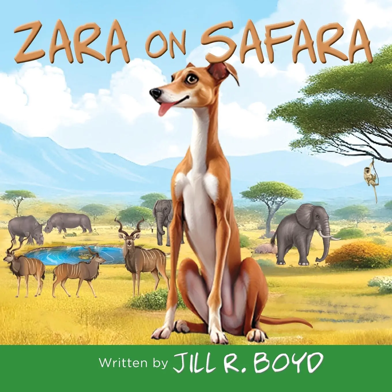Cover: 9798218665692 | Zara on Safara | Jill R. Boyd | Taschenbuch | Englisch | 2025