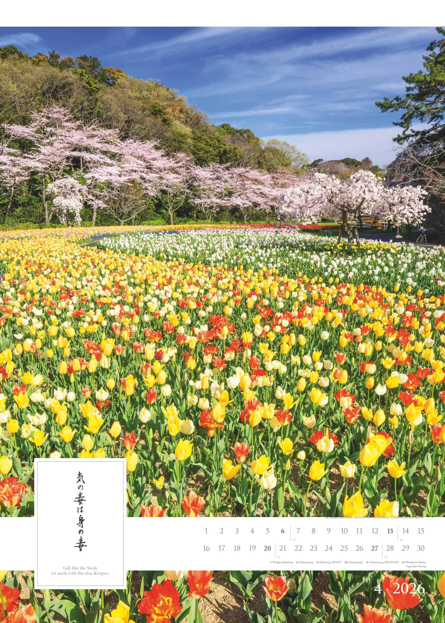 Bild: 4069095005792 | Spirit of Japan 2026 - Bildkalender XXL 50x70 cm - mit japanischer...