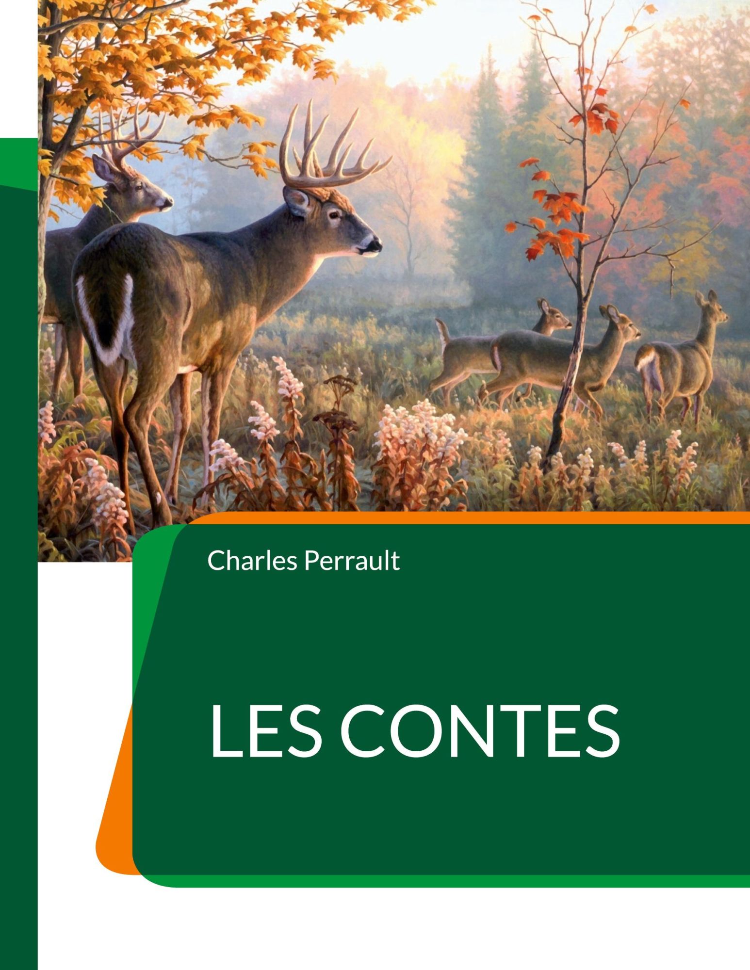 Cover: 9782322425792 | Les Contes | Les célébrissimes de Perrault | Charles Perrault | Buch