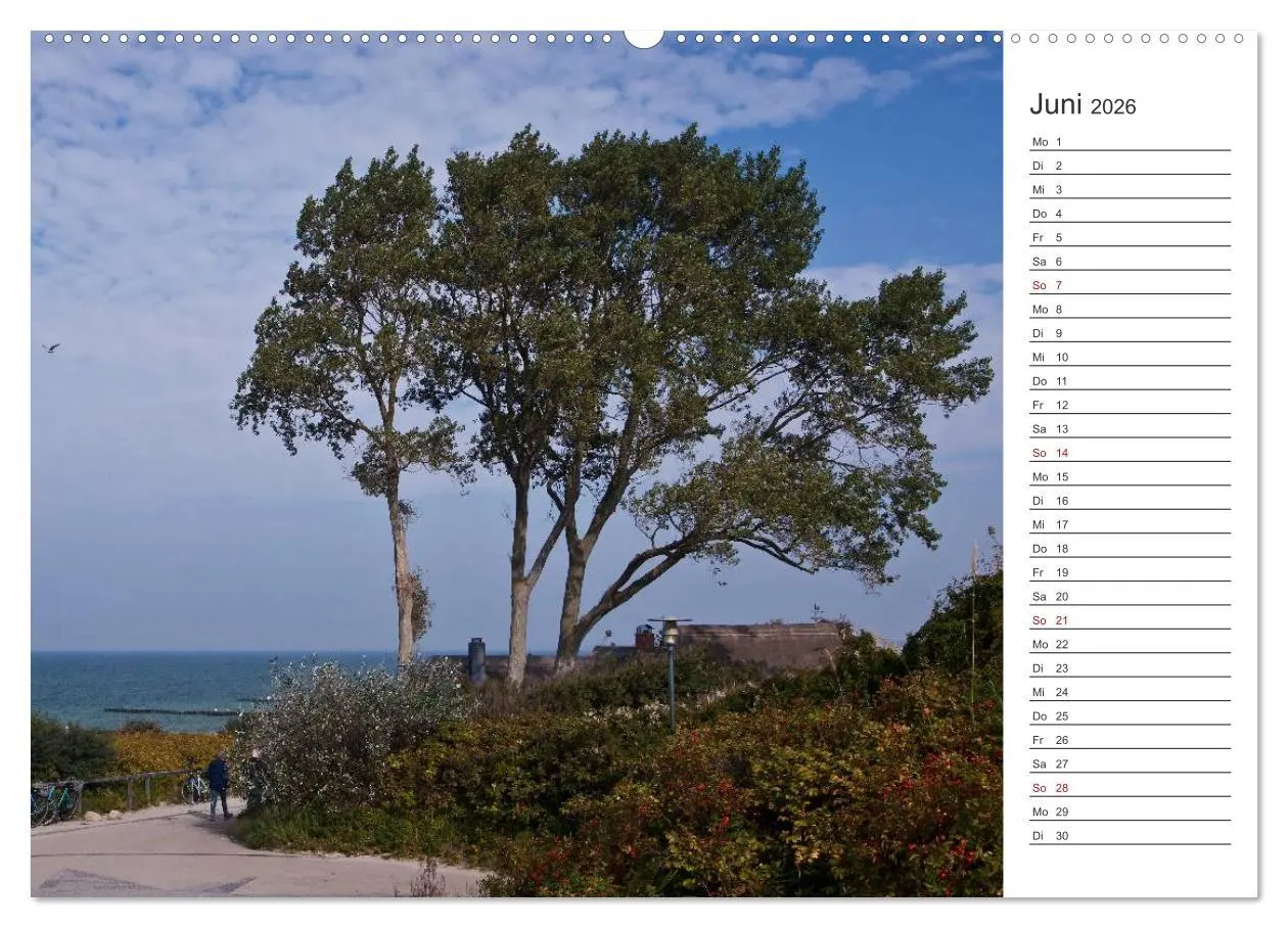 Bild: 9783457985892 | Künstlerparadies Ahrenshoop (Wandkalender 2026 DIN A2 quer),...