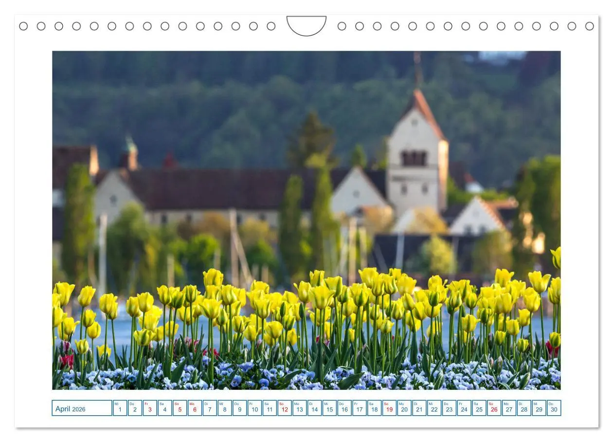 Bild: 9783457316092 | Allensbach am Bodensee (Wandkalender 2026 DIN A4 quer), CALVENDO...