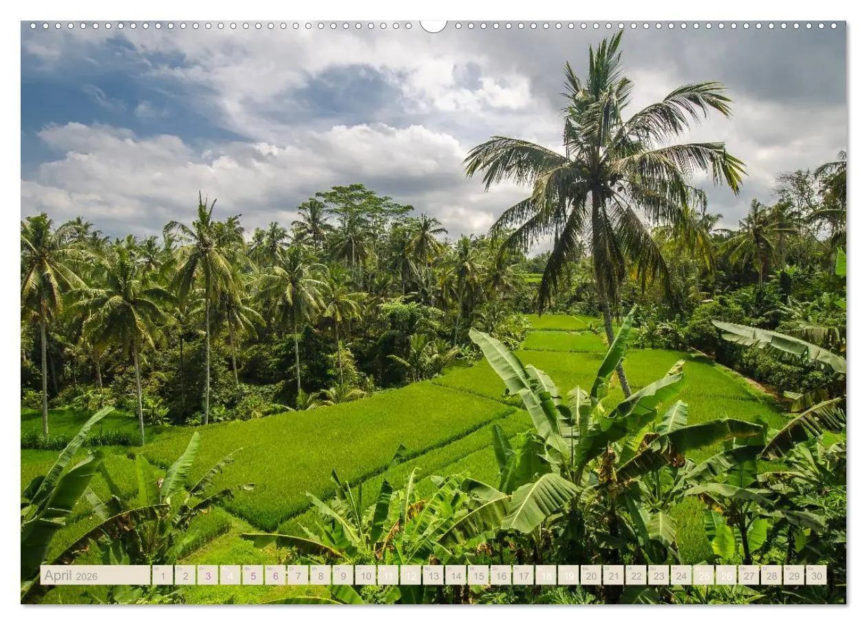 Bild: 9783516196092 | Bali (hochwertiger Premium Wandkalender 2026 DIN A2 quer),...