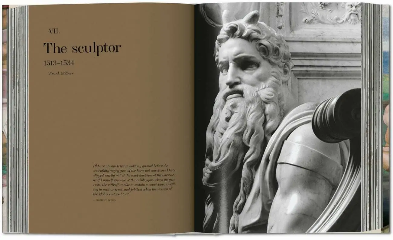 Bild: 9783836586092 | Michelangelo | Das vollständige Werk. Malerei, Skulptur, Architektur