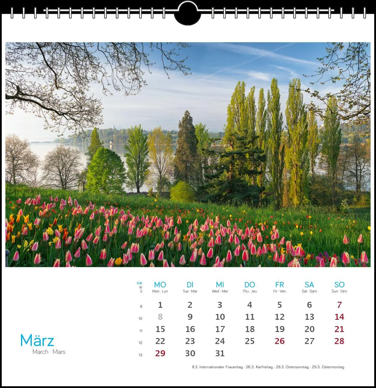 Bild: 9783861926092 | Bodensee 2027 | Postkarten-Tischkalender | Holger Spiering | Kalender